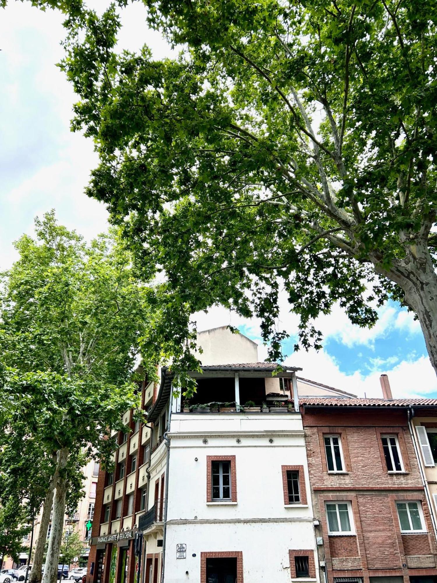 Loft Garonne - Centre Ville Immeuble Privatif Toulouse Exterior foto